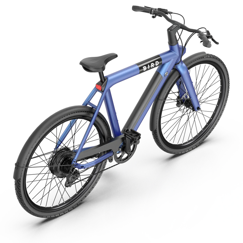 Blue bird bike sale