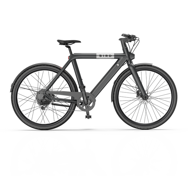 A Frame Stealth Black Bird Bike