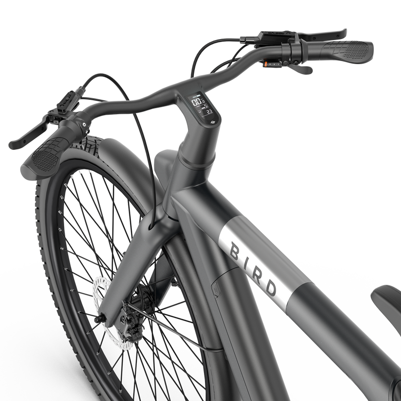 Black bird bike deals